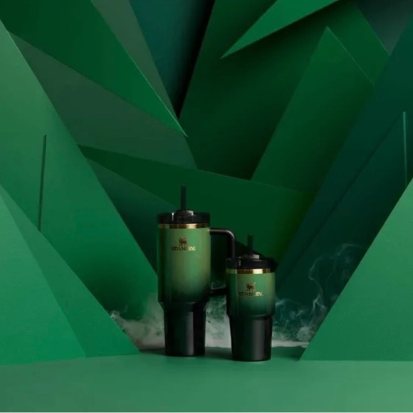 Stanley Wicked Elphaba 20 oz Tumbler - Picture 4 of 4